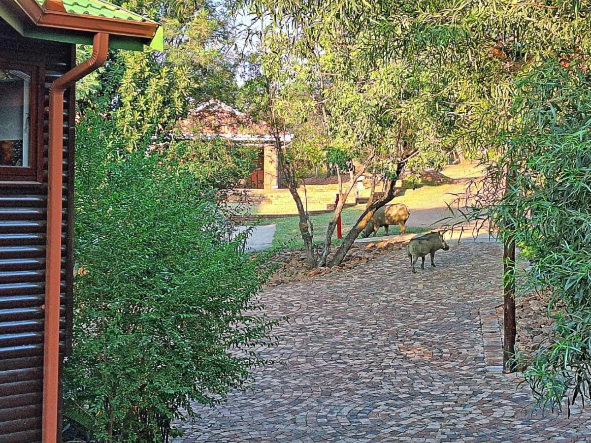Loskop Serene Bush Cabin Winterkamp Exterior foto